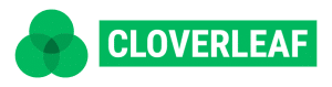 cloverleaf enneagram coaching review