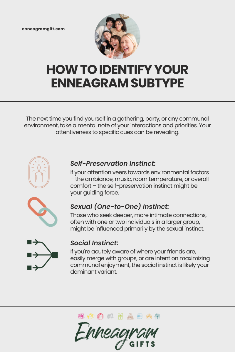 27 Enneagram Subtypes And The 3 Instinctual Variants