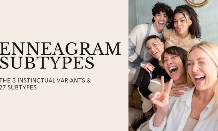 27 Enneagram Subtypes And The 3 Instinctual Variants